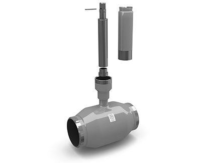 ������� ���� ��� ������ ����